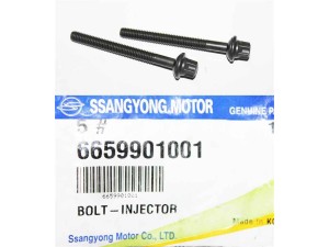 6659901001 (SSANGYONG) Болт крепления форсункиSsangYong Rodius 07-13 SsangYong Actyon 06-11