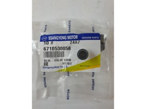 6710530058 (SSANGYONG) Сальник клапана двигуна 2.0XDI 16V, 2.2XDI 16VSsangYong Actyon 12- SsangYong Actyon Sports 12- SsangYong Korando C 10-19