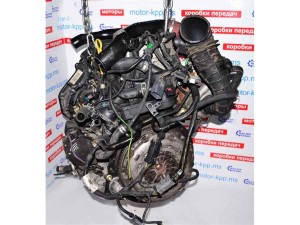 форд фокус двигатель: Кыргызстан ᐈ Двигатели, моторы и ГБЦ ▷ объявлений ➤ luchistii-sudak.ru