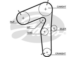 5462XS (GATES) Ремінь ГРМFiat Bravo 95-01 Fiat Punto 03-10 Fiat Doblo 00-09