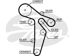 5649XS (GATES) Ремінь ГРМVW Passat B7 10-15 Audi A6 11-18 Skoda Octavia A5 04-13