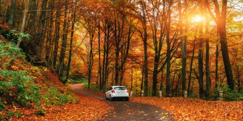 Как подготовить автомобиль к осени?